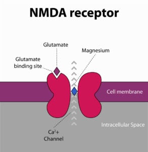 Receptor NMDA