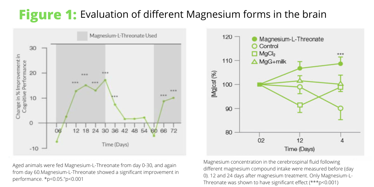 evaluation of magnesium forms in brain