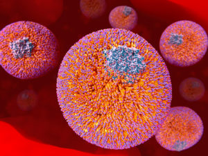 LDL particles in the blood stream