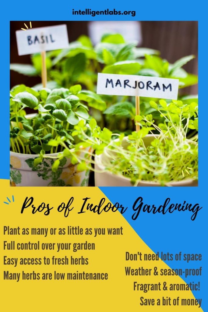 Pros of Indoor Gardening