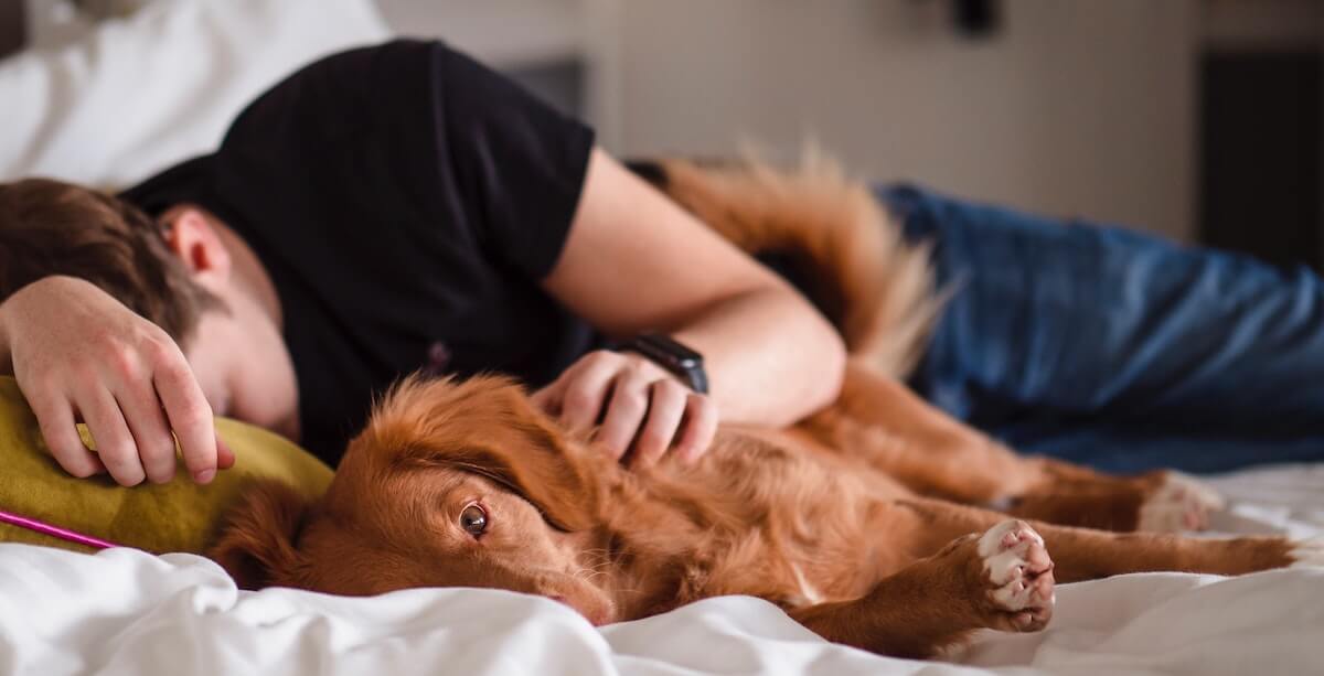 Guy napping with his dog