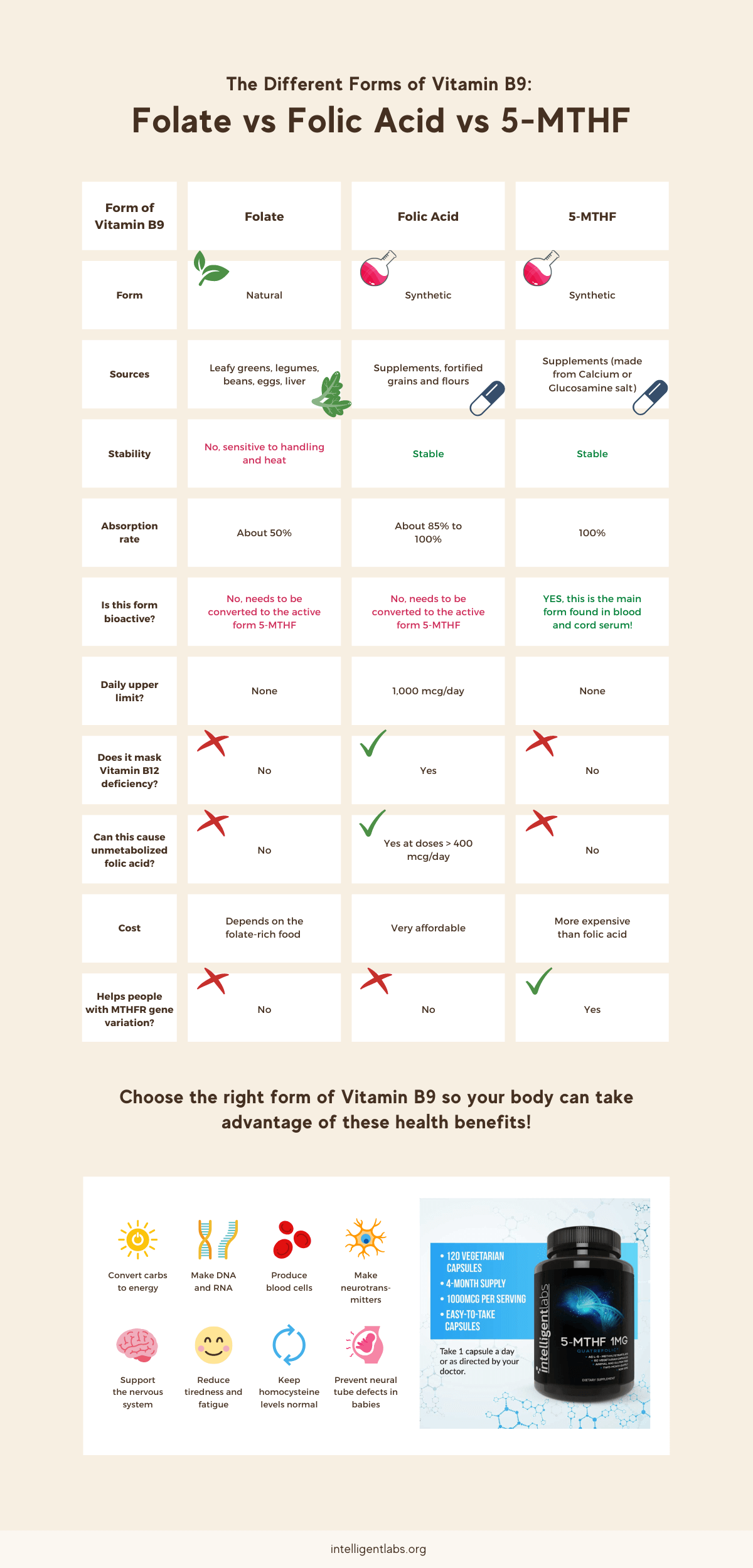 the different forms of vitamin b9: folate vs folic acid vs 5-mthf